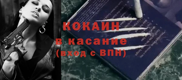 прущие крисы Ельня