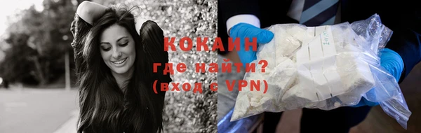 прущие грибы Заволжье
