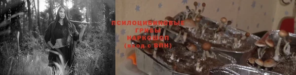 прущие крисы Ельня