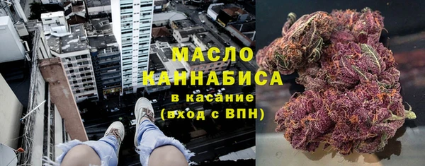 прущие крисы Ельня