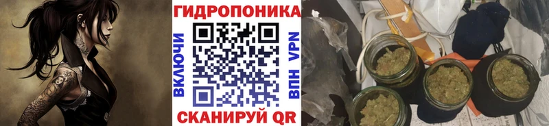 Шишки марихуана гибрид Каргополь