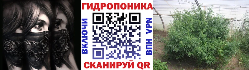 МАРИХУАНА Amnesia Купить закладки Каргополь
